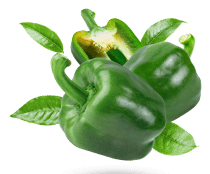 capsicum